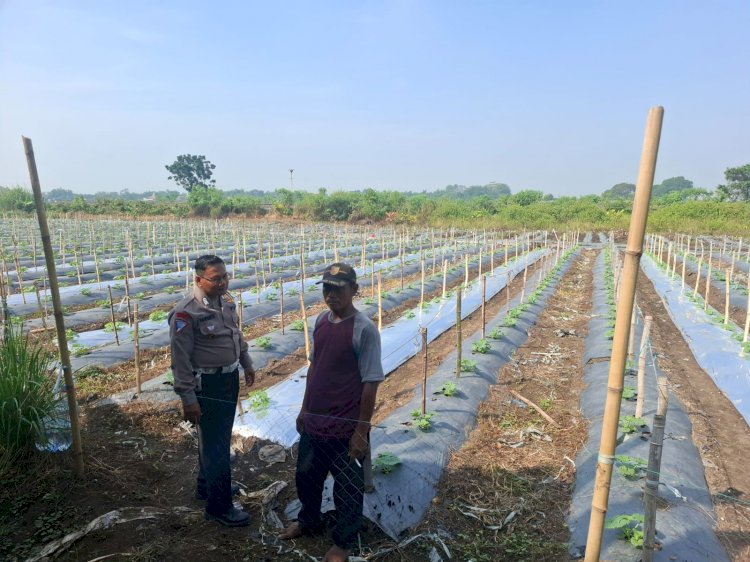 Polsek Tarik Masifkan Patroli Sambang Desa Dukung Program Ketahanan Pangan Polresta Sidoarjo